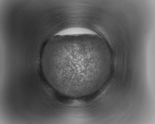 X0000089700737200707051643