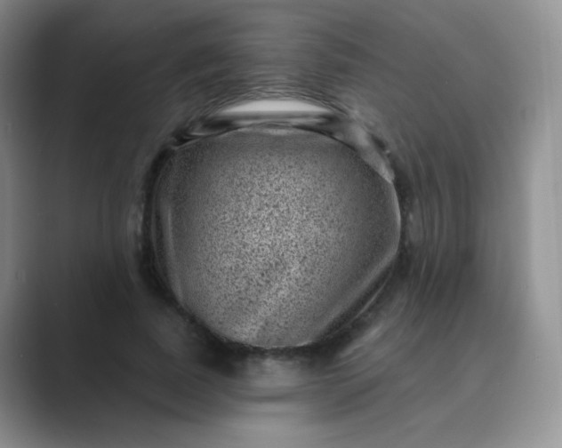 X0000089700739200707051643