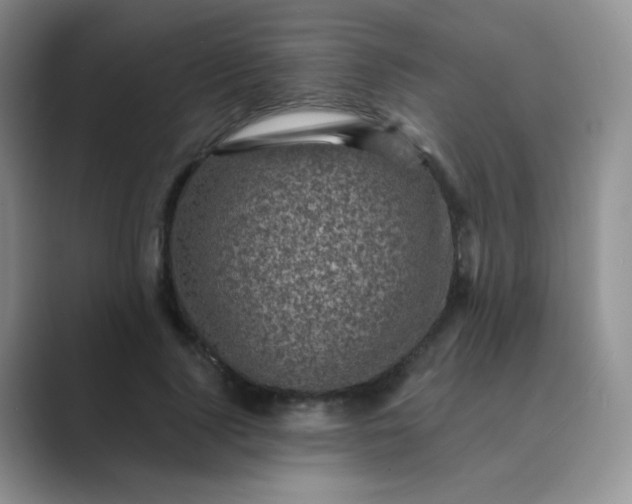 X0000089700740200707051643