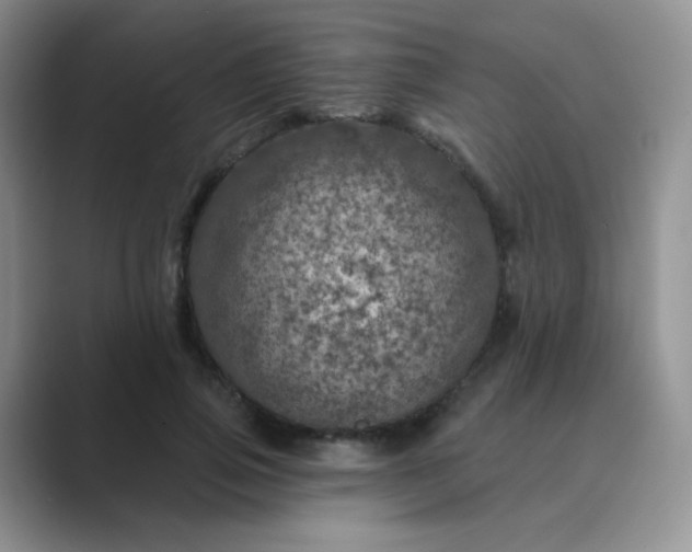 X0000089700741200707051643