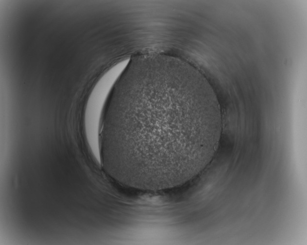 X0000089700742200707051643