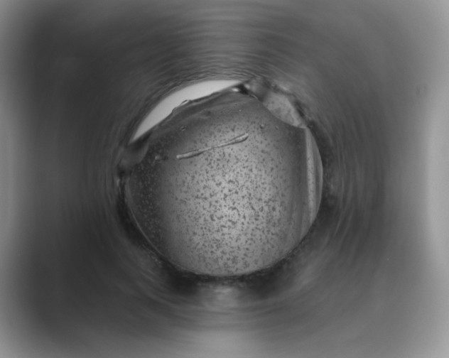 X0000089700743200707051643