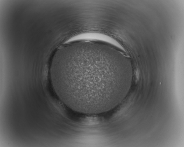 X0000089700744200707051643