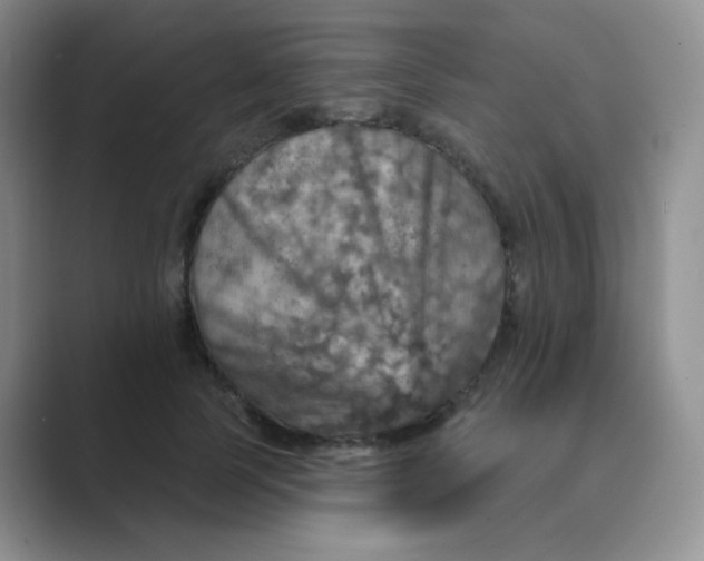 X0000089700745200707051643