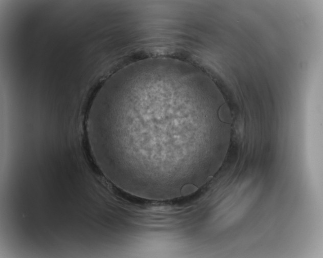 X0000089700746200707051643