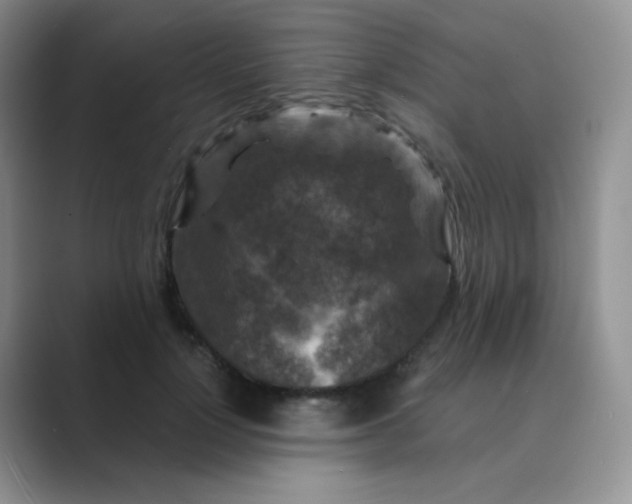 X0000089700748200707051643