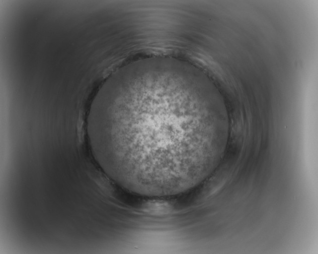 X0000089700749200707051643