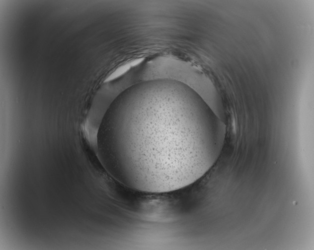 X0000089700750200707051643