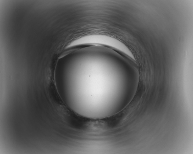 X0000089700752200707051643