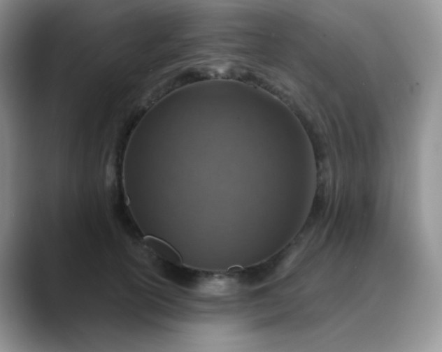 X0000089700754200707051643