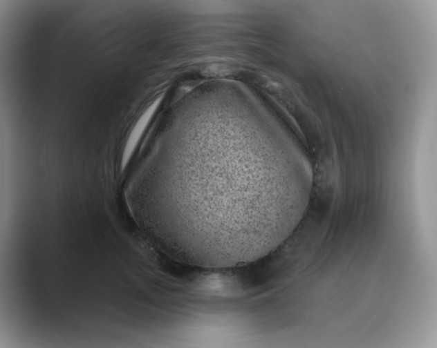 X0000089700755200707051643