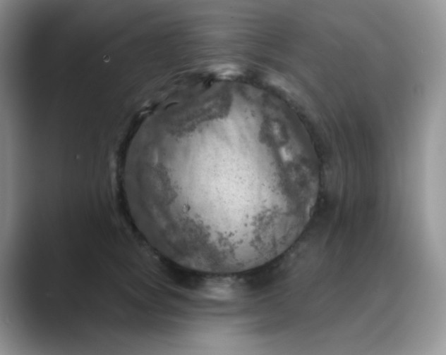 X0000089700757200707051643