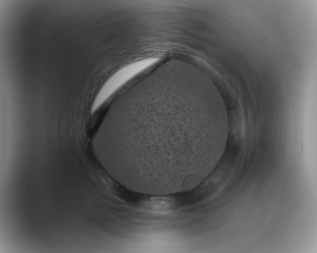 X0000089700758200707051643