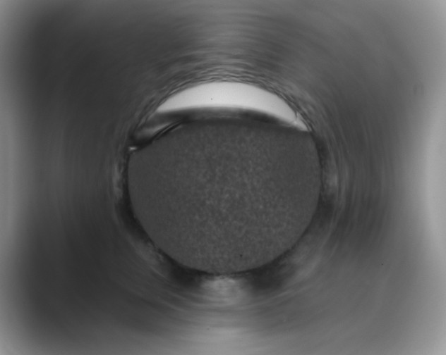 X0000089700759200707051643