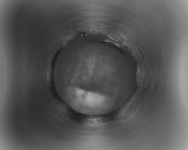 X0000089700760200707051643