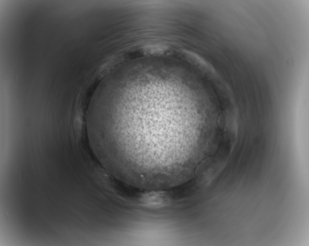 X0000089700761200707051643