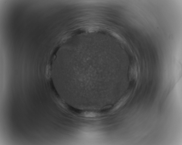 X0000089700766200707051643