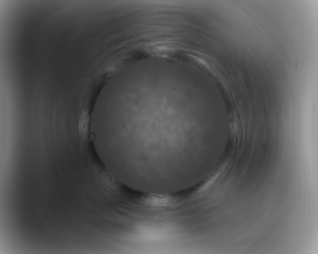 X0000089700767200707051643