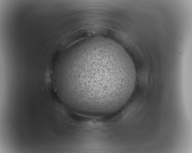 X0000089700770200707051643