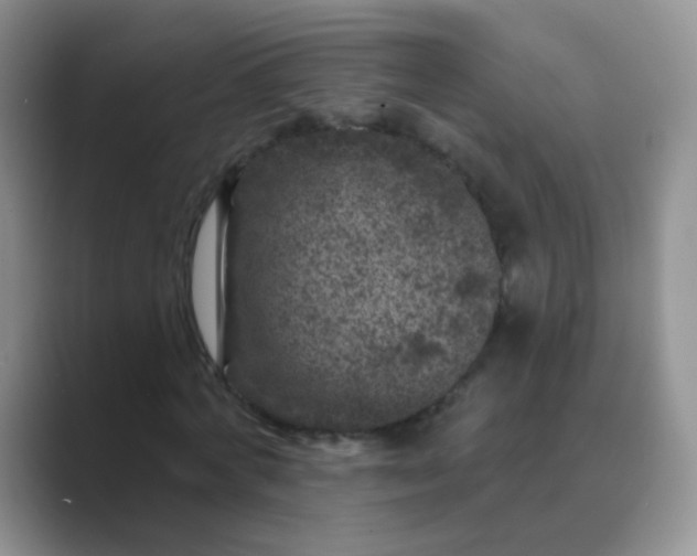 X0000089700772200707051643