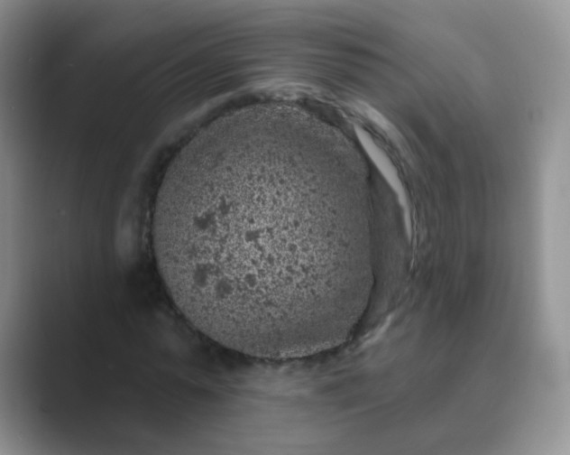 X0000089700775200707051643