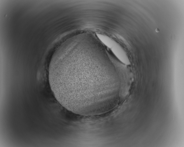 X0000089700776200707051643