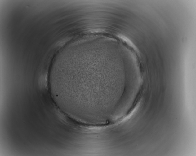 X0000089700777200707051643