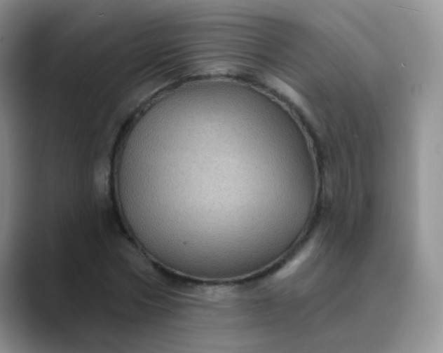 X0000089700778200707051643