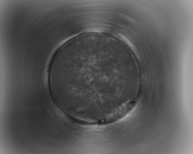 X0000089700779200707051643