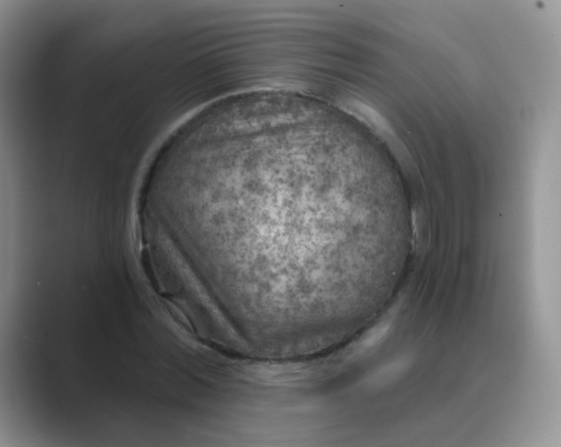 X0000089700780200707051643