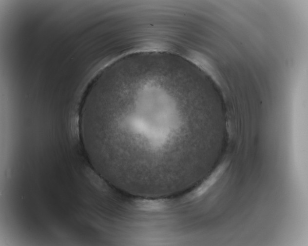 X0000089700781200707051643