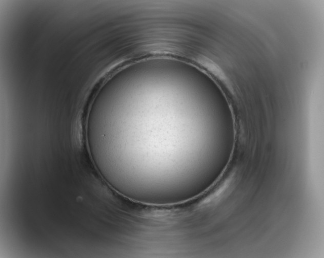 X0000089700782200707051643