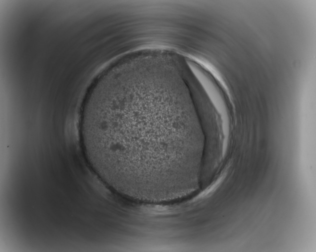 X0000089700783200707051643