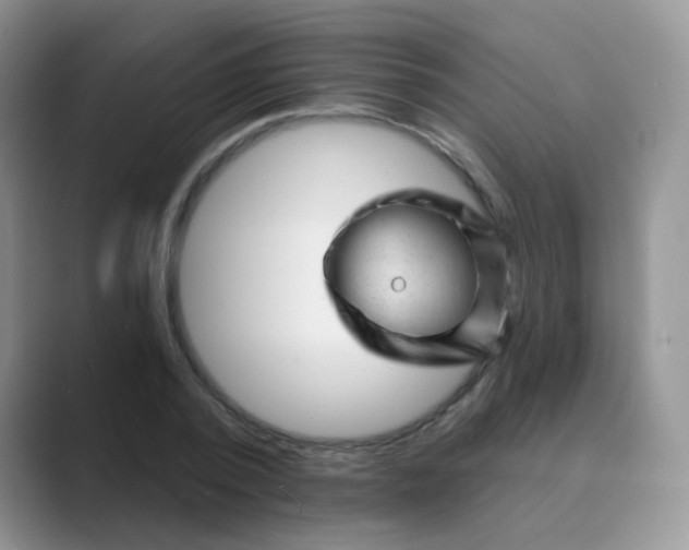 X0000089700784200707051643