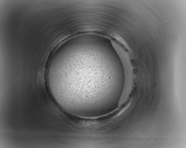 X0000089700786200707051643