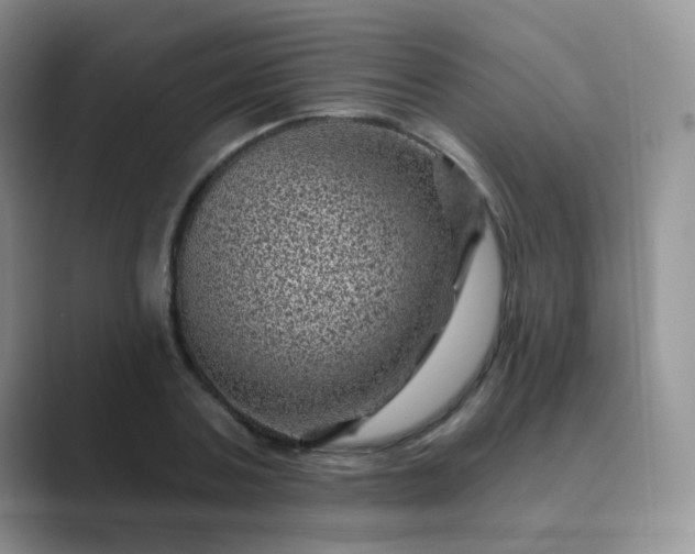 X0000089700787200707051643