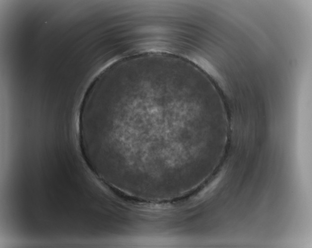 X0000089700790200707051642