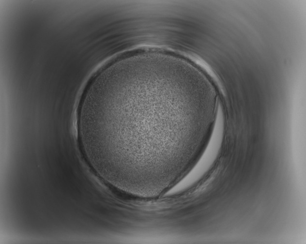 X0000089700791200707051642