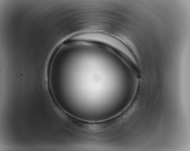 X0000089700792200707051642