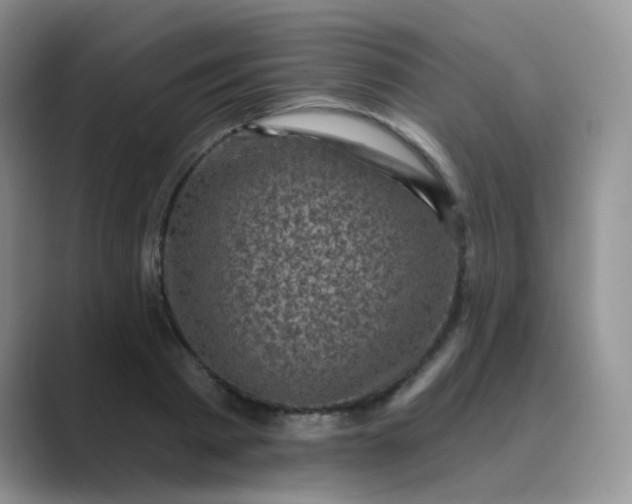 X0000089700793200707051642