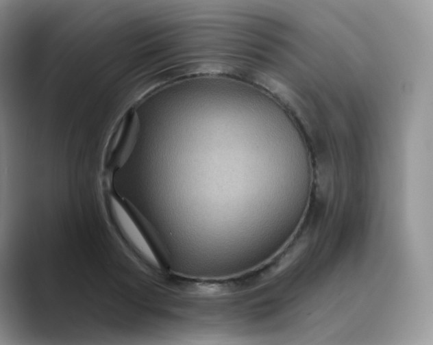 X0000089700794200707051642