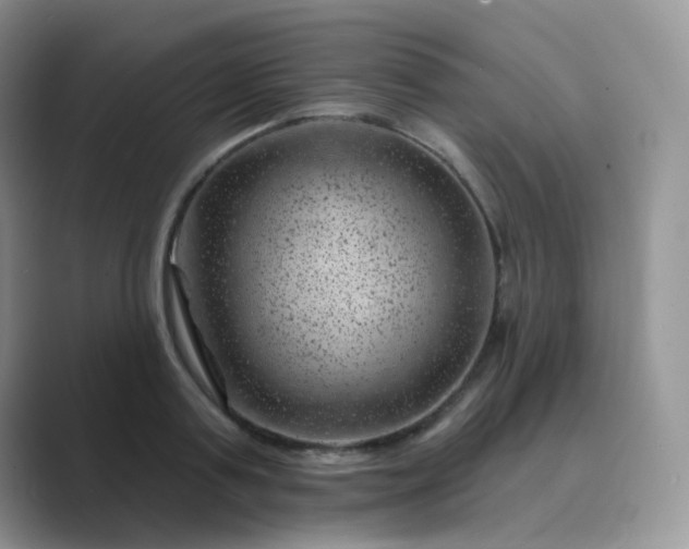 X0000089700795200707051642