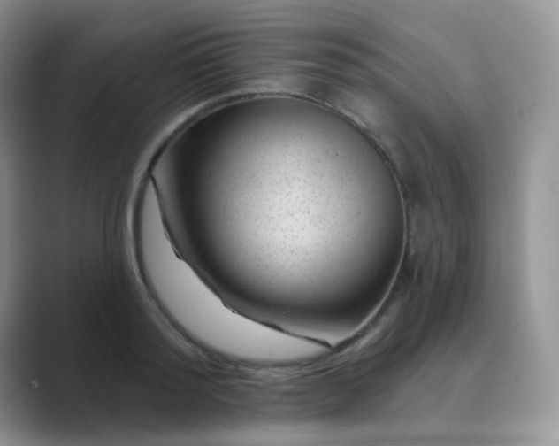 X0000089700796200707051642