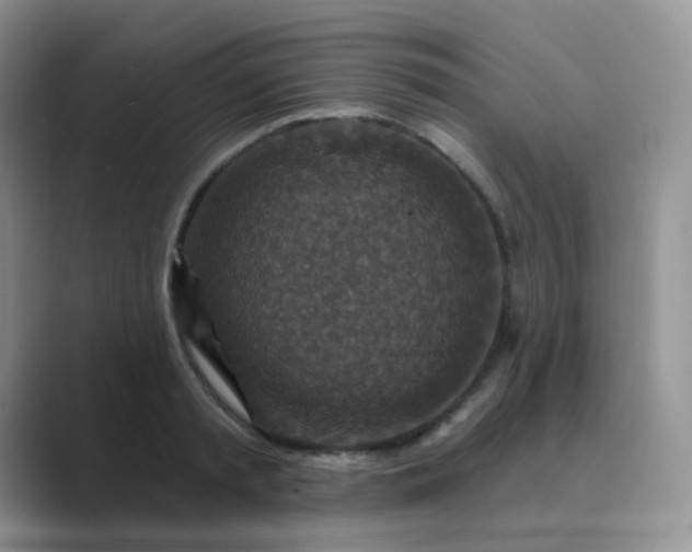 X0000089700797200707051642