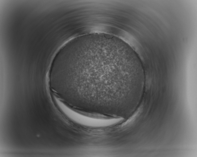 X0000089700798200707051642