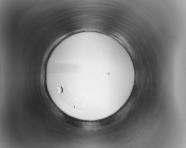 X0000089700804200707051642