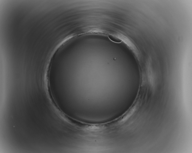 X0000089700806200707051642