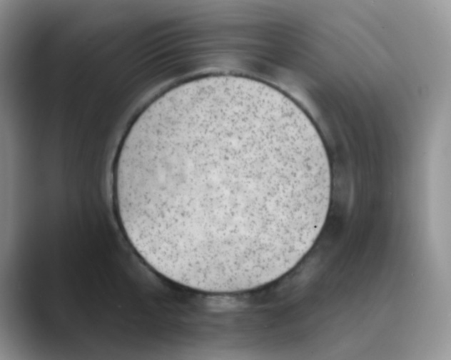 X0000089700807200707051642