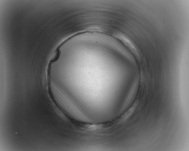 X0000089700808200707051642