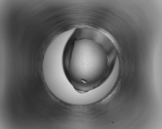 X0000089700809200707051642